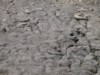 Agrandir