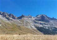 la prairie alpine à 2000 mètres (Lautaret)