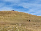 mise en place des transects