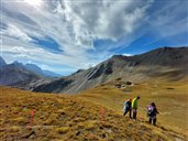 mise en place des transects : un point tous les 3m.