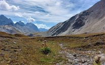Vue vers l'est depuis le site Arago : les Cerces