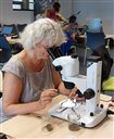 Martine anthracologue : recherche de charbons de bois anciens dans les sols