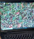 évaluation informatisée du "verdissement" des espèces photographiées