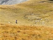 métrage du transect