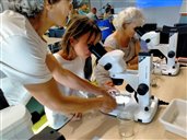 Brigitte, Laurence et Martine : au charbon !
